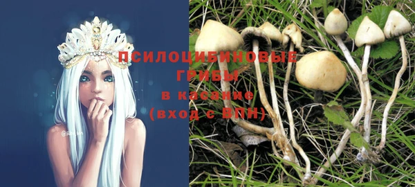 2c-b Заводоуковск