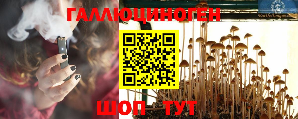 Саяногорск  Псилоцибиновые грибы мухоморы  Вход с VPN 