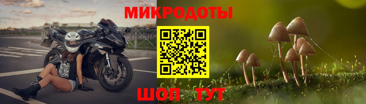 Псилоцибиновые грибы GOLDEN TEACHER Саяногорск